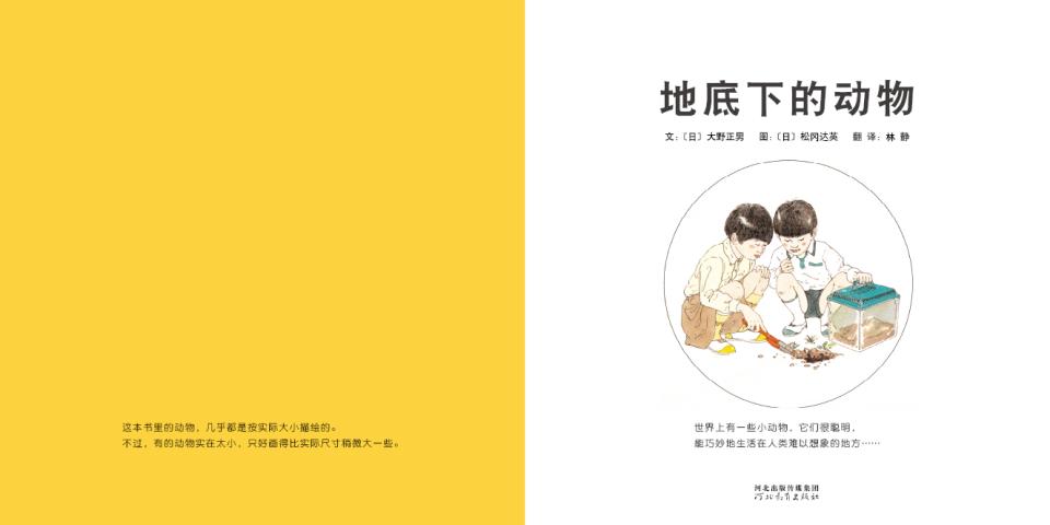 地底下的动物 (03),绘本,绘本故事,绘本阅读,故事书,童书,图画书,课外阅读